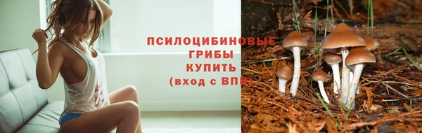 молекула духа Баксан