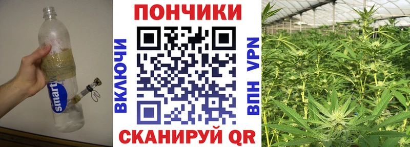 Каннабис OG Kush хочу наркоту Вельск
